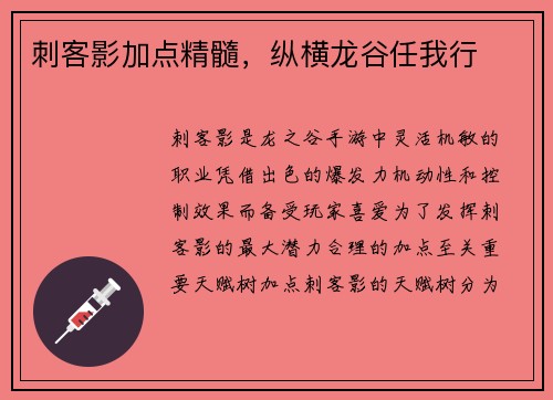 刺客影加点精髓，纵横龙谷任我行
